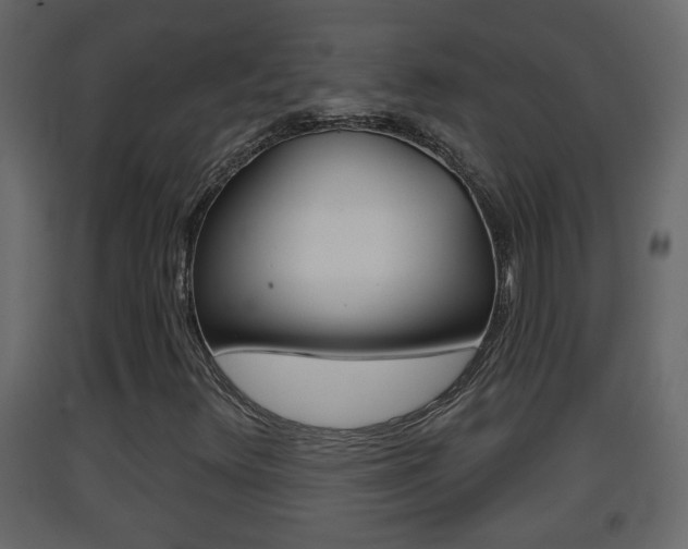 X0000093381348200710111339