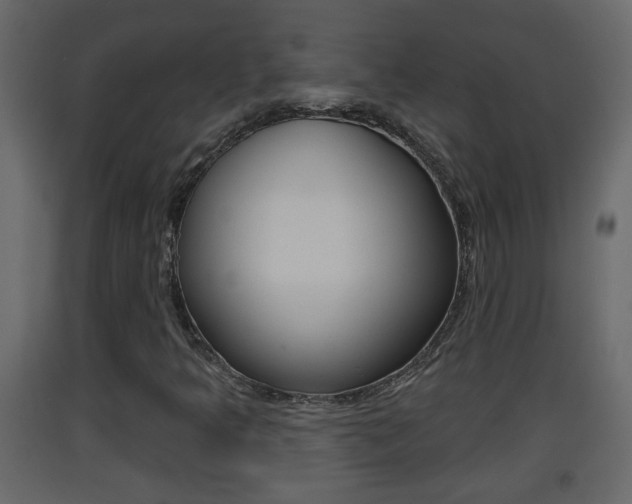 X0000093381349200710111339