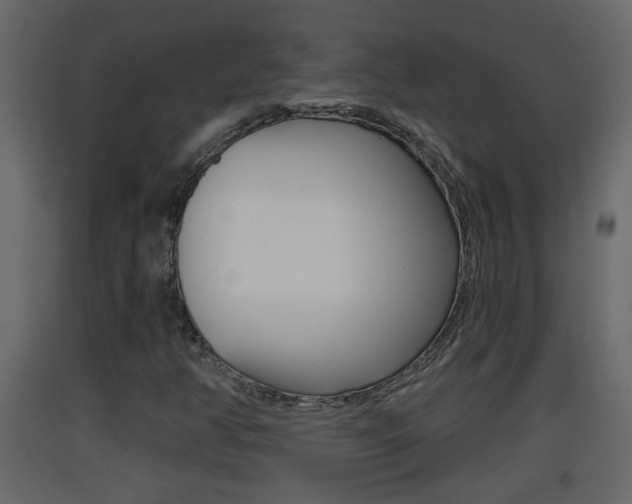 X0000093381350200710111339
