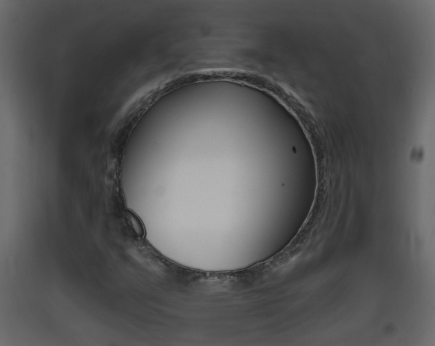 X0000093381351200710111339