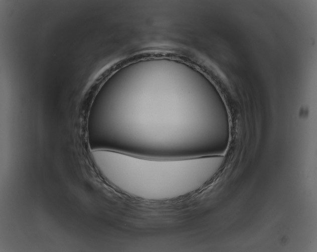 X0000093381352200710111339