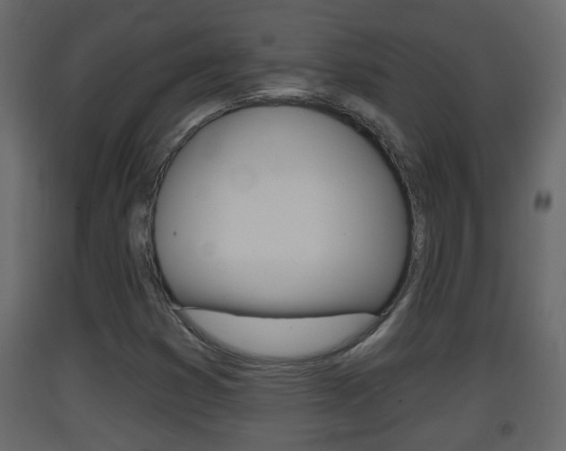 X0000093381353200710111339