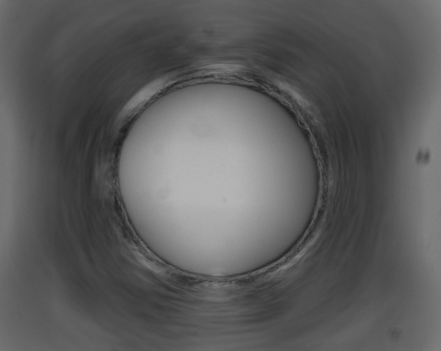 X0000093381354200710111339
