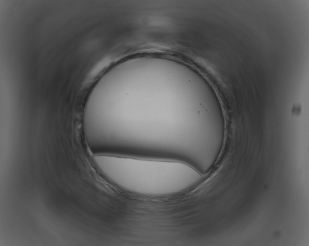 X0000093381355200710111339