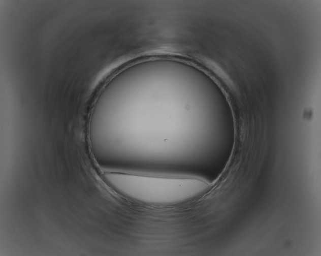 X0000093381356200710111339