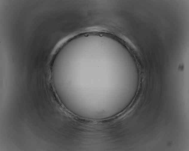 X0000093381358200710111339