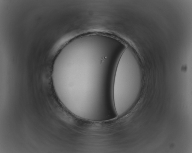 X0000093381359200710111339