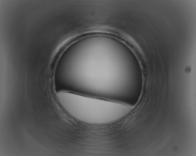 X0000093381360200710111339