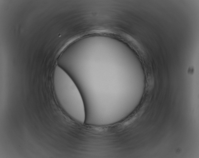 X0000093381361200710111339