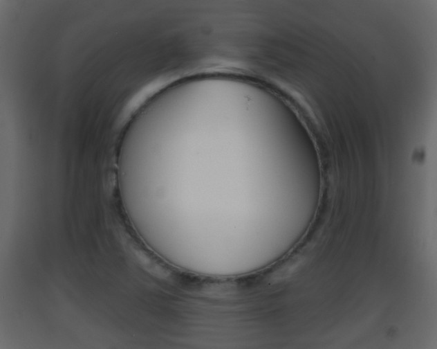 X0000093381363200710111339