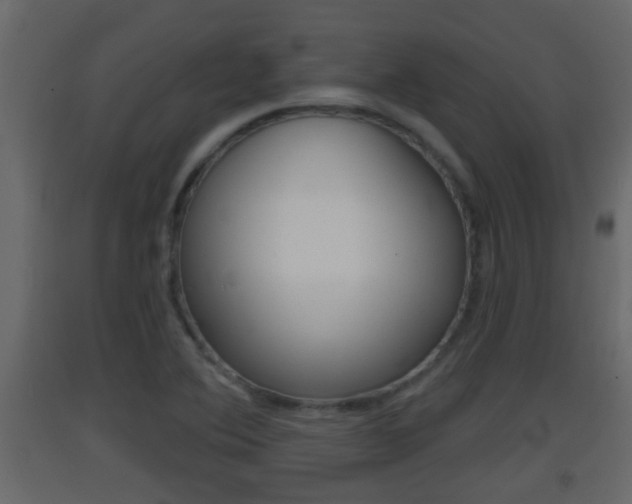X0000093381364200710111339