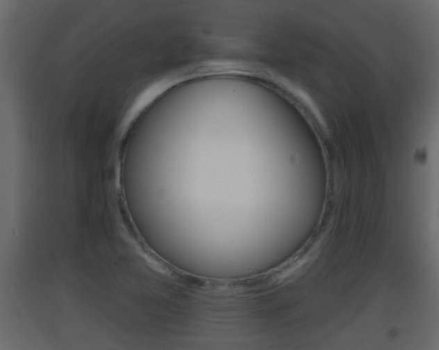 X0000093381365200710111339