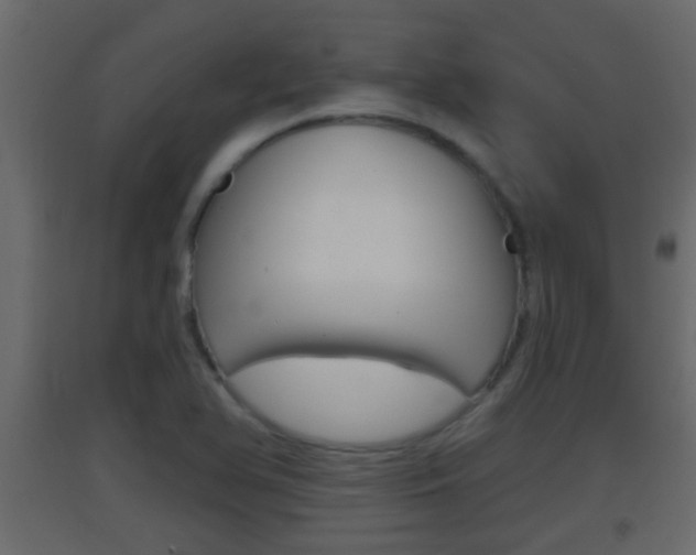 X0000093381366200710111339