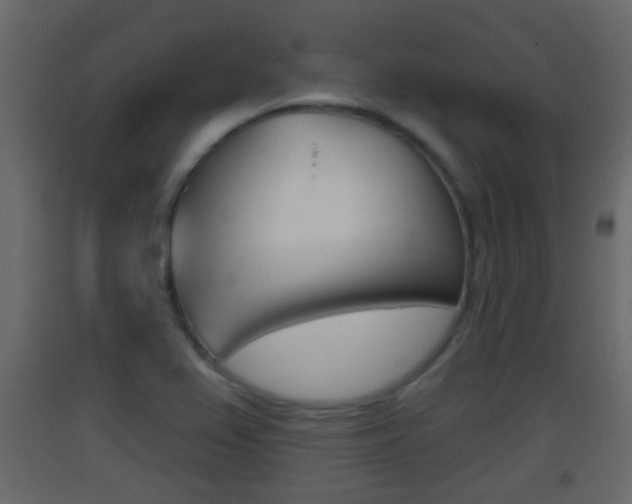 X0000093381367200710111339