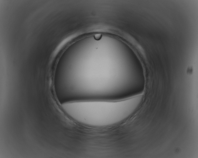 X0000093381368200710111339