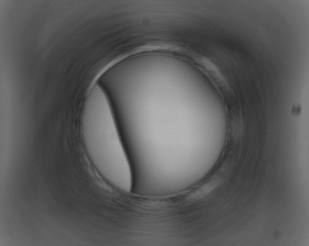 X0000093381369200710111339