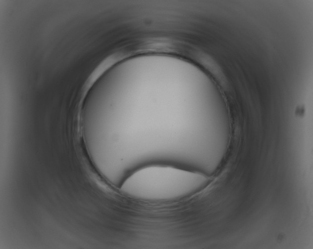 X0000093381370200710111339