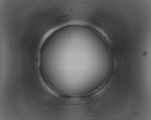 X0000093381371200710111339