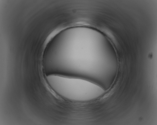 X0000093381373200710111339