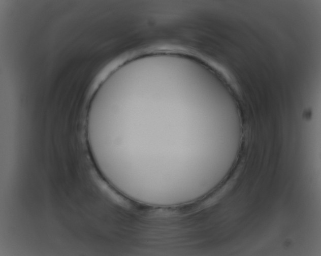 X0000093381374200710111339