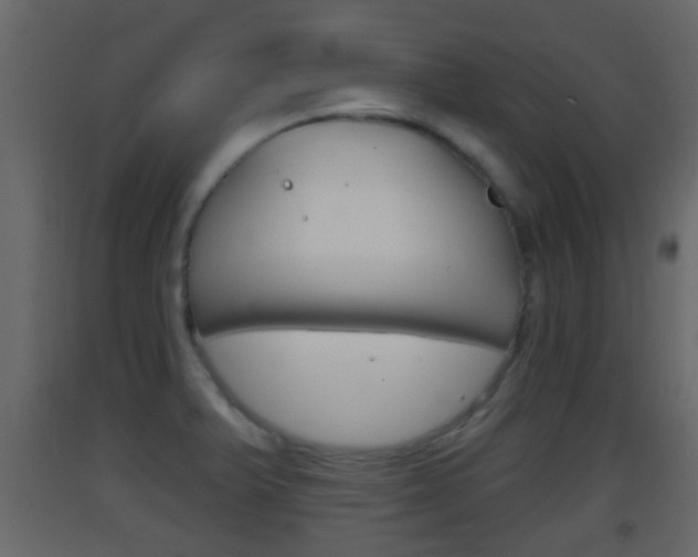 X0000093381375200710111339