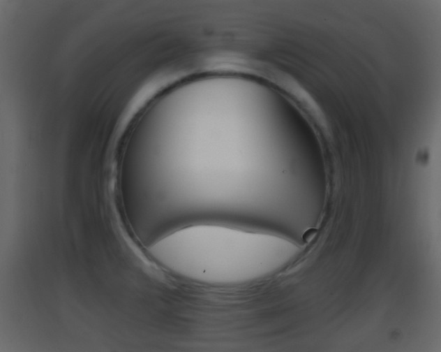 X0000093381376200710111339