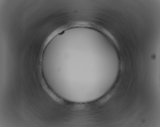 X0000093381378200710111339