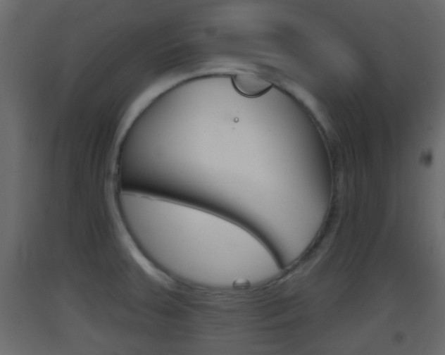 X0000093381379200710111339