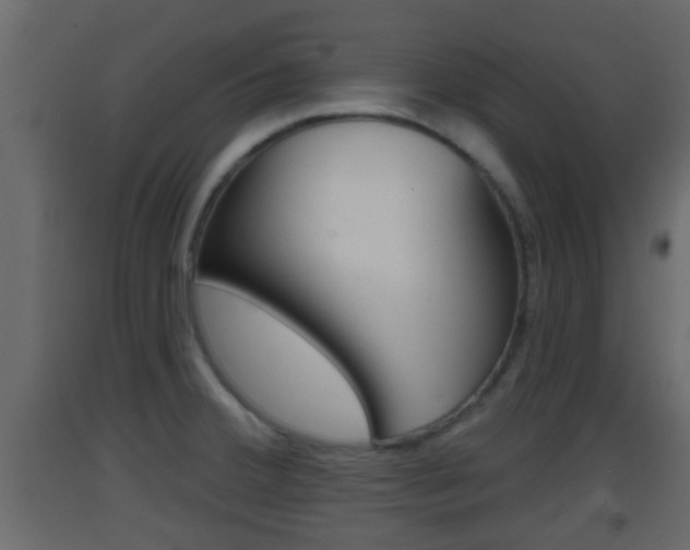 X0000093381380200710111339