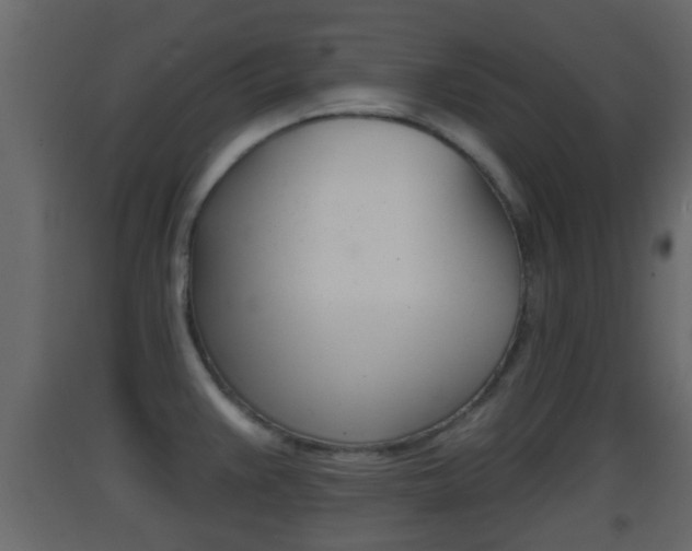 X0000093381383200710111339