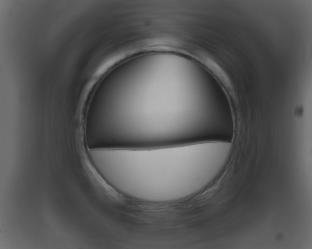 X0000093381384200710111339