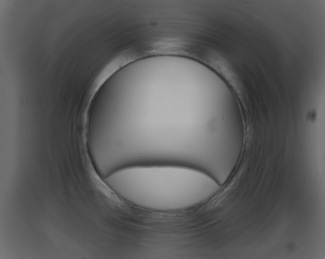 X0000093381386200710111339