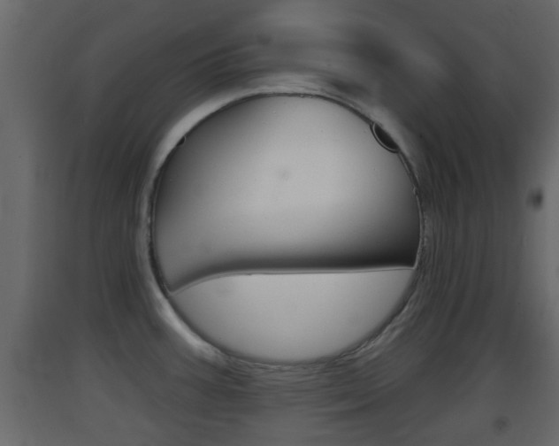 X0000093381387200710111339