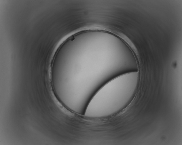 X0000093381388200710111339