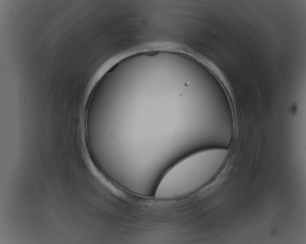 X0000093381389200710111339