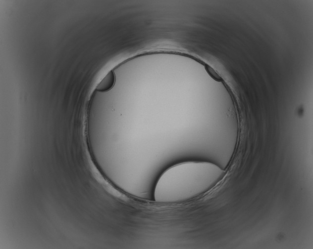 X0000093381390200710111339