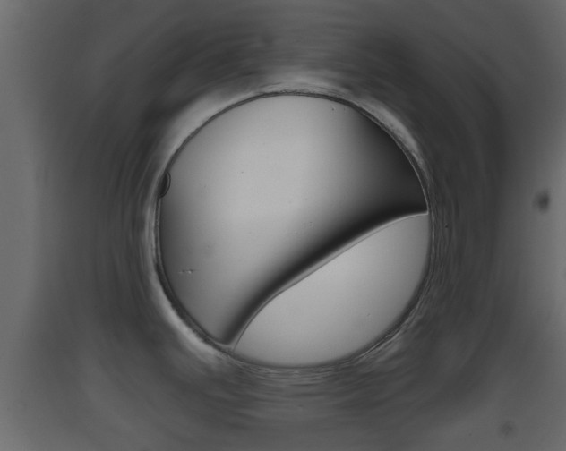 X0000093381391200710111338