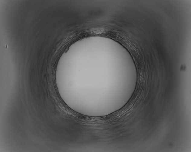 X0000093381393200710111338