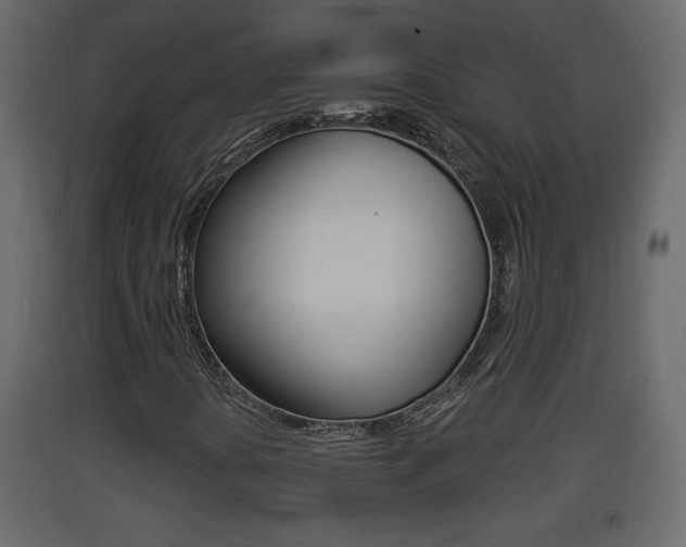 X0000093381394200710111338