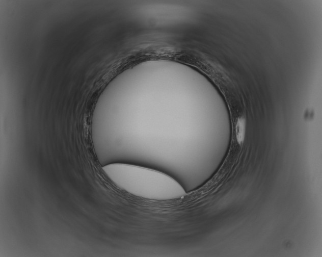 X0000093381395200710111338