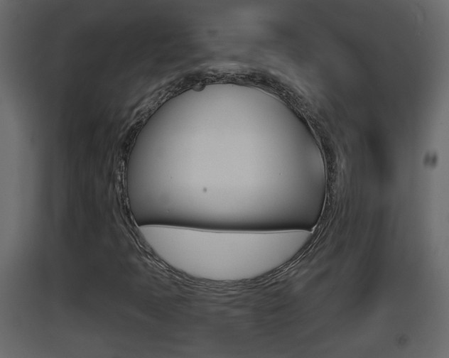 X0000093381397200710111338
