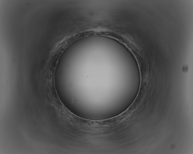 X0000093381398200710111338