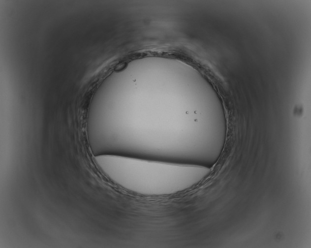 X0000093381399200710111338