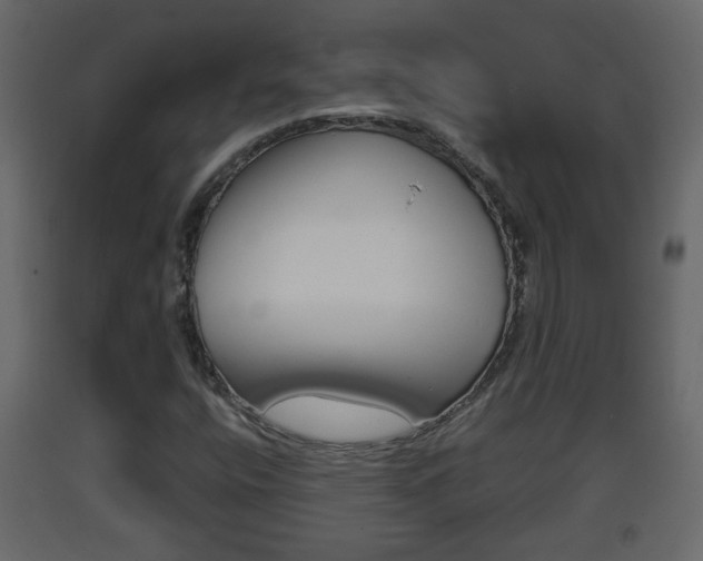 X0000093381400200710111338