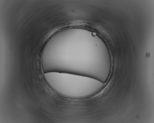X0000093381401200710111338
