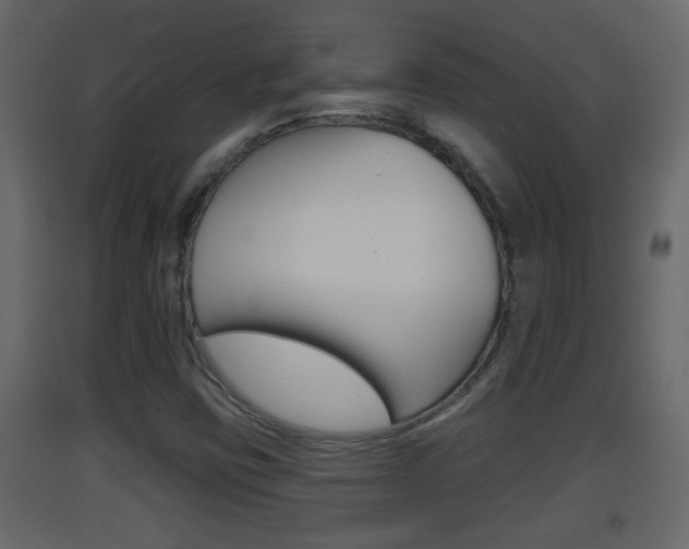 X0000093381403200710111338