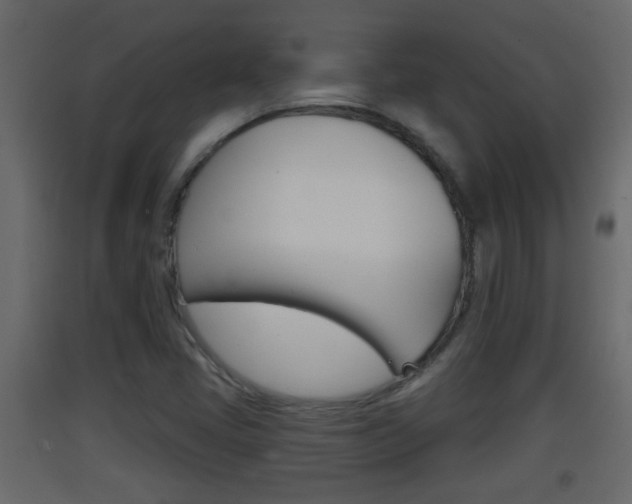 X0000093381405200710111338
