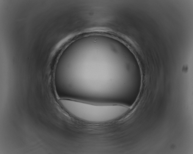 X0000093381406200710111338