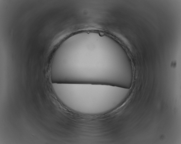 X0000093381407200710111338