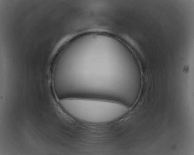 X0000093381408200710111338